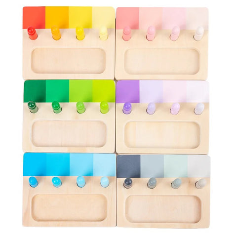 Montessori Color Sorting Peg / Preschool color matching sorting