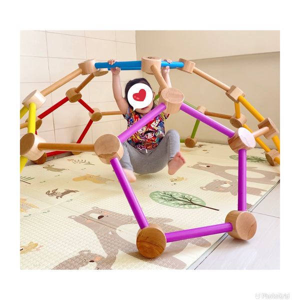 Colorful Indoor Wooden Climbing Play Dome