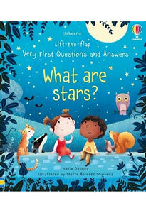 Usborne VERY FIRST QUESTIO What are star / what is poo /what are germs  why do we potty